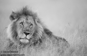 KENYA 2024 CLASSIC